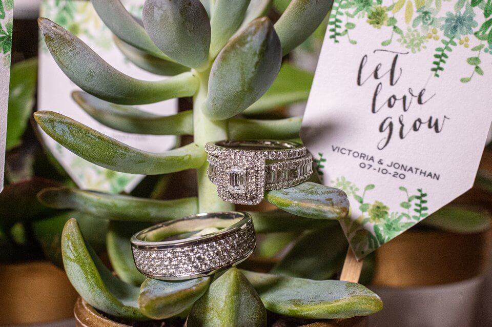 Wedding rings on succulents