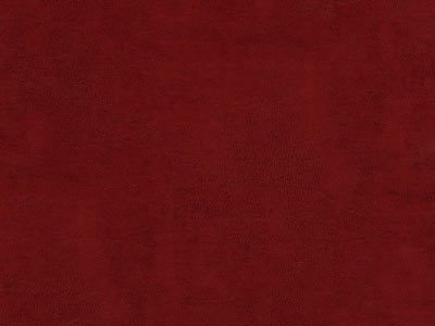 New Orleans wedding album color - Leatherette Red