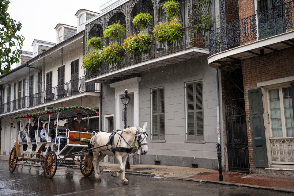 New Orleans Christmas Destination Wedding at Hotel Provincial